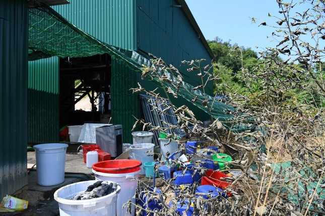 Cảnh 'chết chóc' còn lại ở công xưởng sản xuất 1,4 tấn ketamin ảnh 4