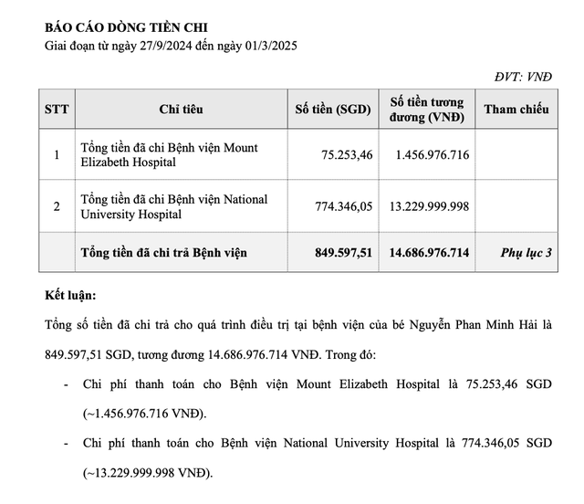Công ty nào đứng ra làm báo cáo tài chính cho Phạm Thoại vụ việc liên quan Mẹ Bắp?- Ảnh 4.