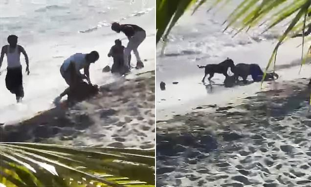 Đang đi dạo ở bãi biển, người phụ nữ bỗng hét lớn rồi ngã quỵ: Nhân chứng kể lại chi tiết ám ảnh - Ảnh 4.