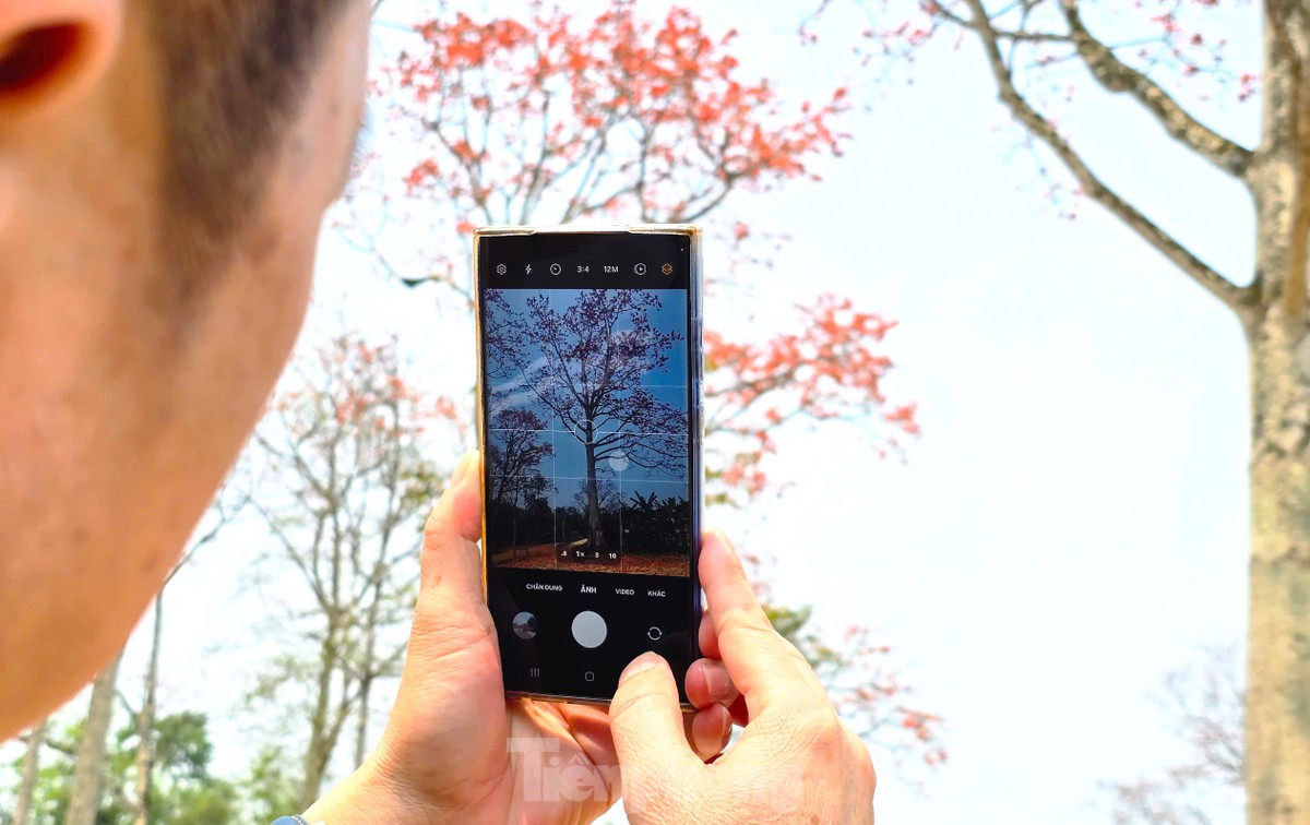 Đẹp nao lòng những cây hoa gạo cổ thụ bung nở giữa núi rừng xứ Nghệ ảnh 12