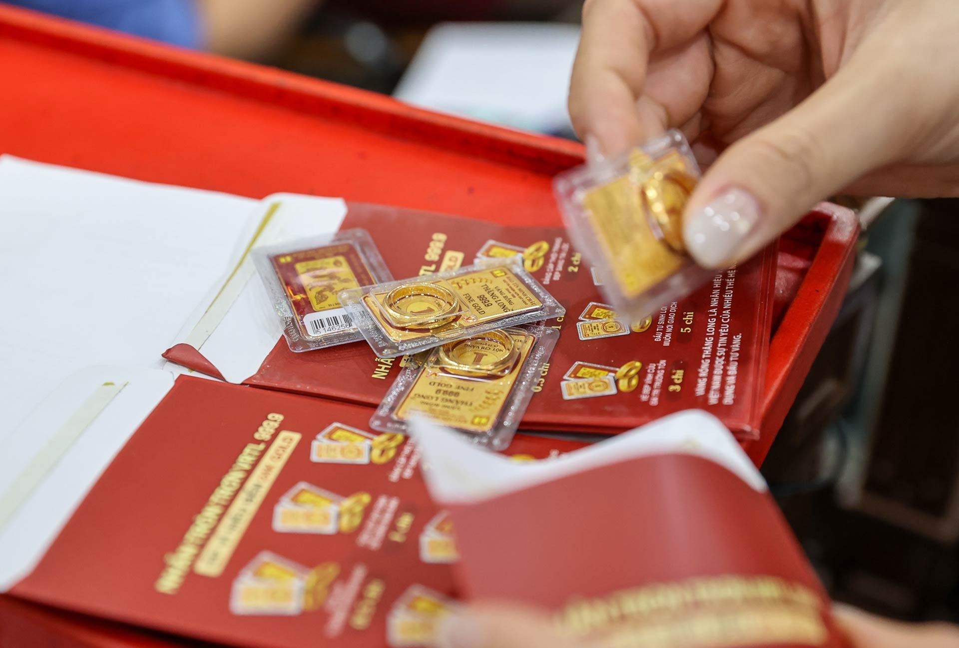 gia vang pham hai.jpg