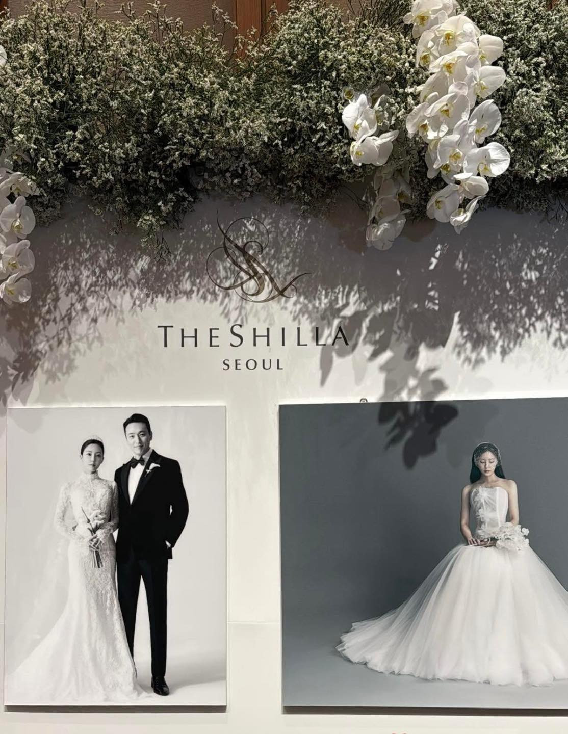 48934182610937459994563154071338588206903652n