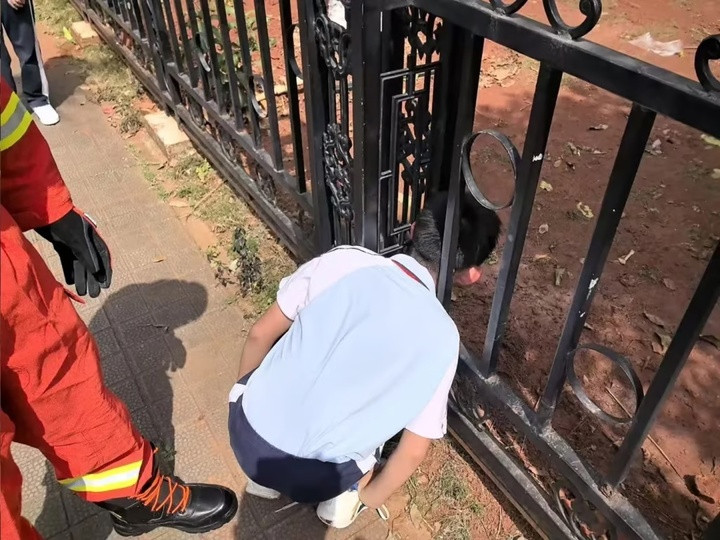 Giận mẹ, nữ sinh 12 tuổi chui vào máy giặt và mắc kẹt, đội cứu hộ phải ra tay- Ảnh 2.