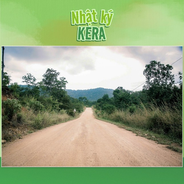 Thực hư vùng nguyên liệu kẹo Kera của Quang Linh Vlogs và Hằng Du Mục ở Đắk Lắk ảnh 4