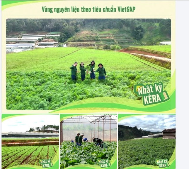 Thực hư vùng nguyên liệu kẹo Kera của Quang Linh Vlogs và Hằng Du Mục ở Đắk Lắk ảnh 5