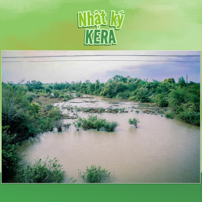 Thực hư vùng nguyên liệu kẹo Kera của Quang Linh Vlogs và Hằng Du Mục ở Đắk Lắk ảnh 2