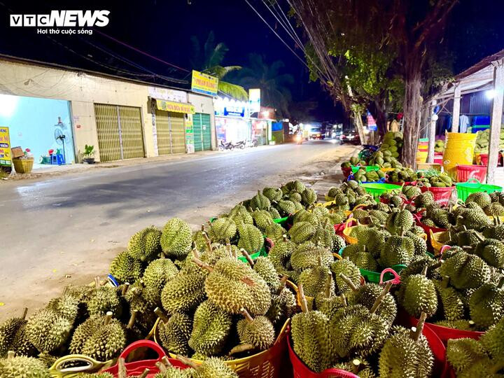 Mất mùa, mất giá, nông dân trồng sầu riêng loay hoay bài toán nhiễm độc kim loại nặng - 8