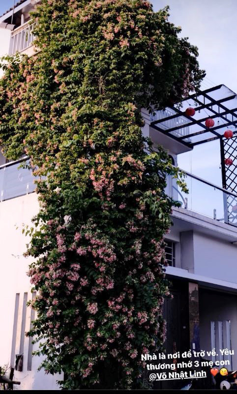 Thành quả ngọt ngào của