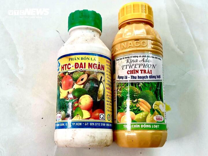 Nỗi oan sầu riêng 'nhúng thuốc' - 4
