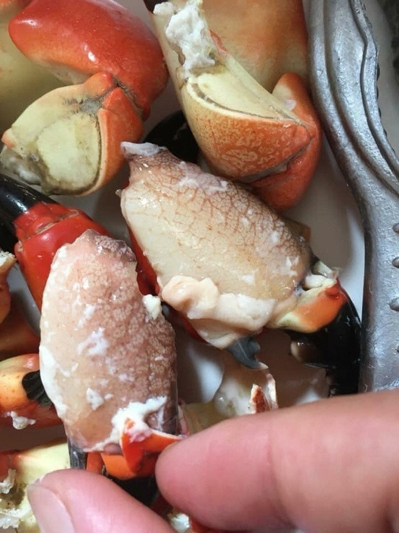 Loại đặc sản ở Quảng Ninh đang vào mùa, có tên kỳ cục, giá