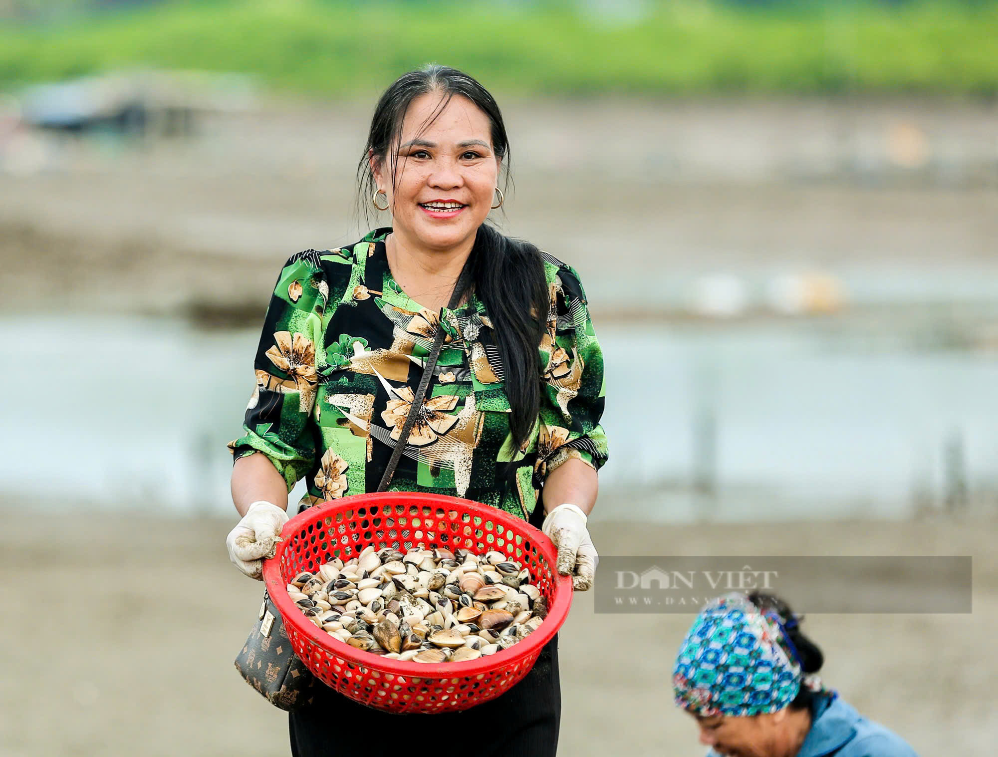 ngheu viet nam