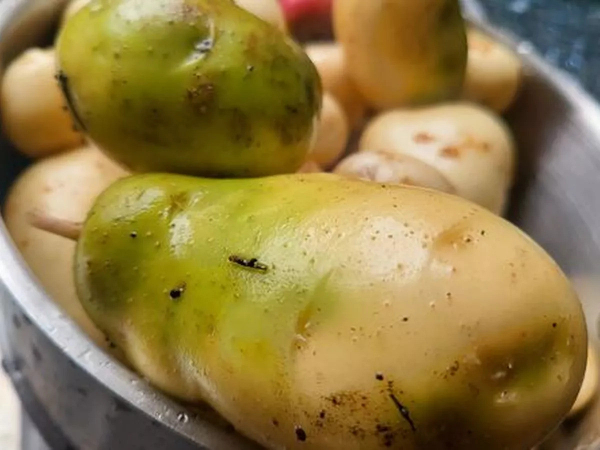 4 loại rau củ đầy độc tố, đã không bổ béo còn phá nội tạng, “cấu kết” với tế bào ung thư nhưng nhà nào cũng có- Ảnh 1.
