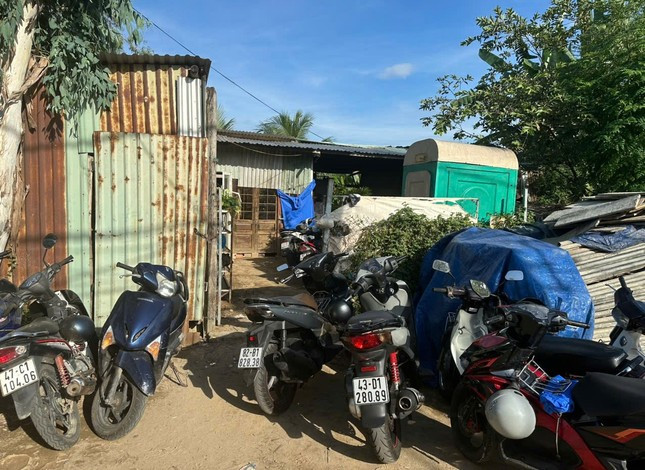 Triệt xóa tụ điểm đá gà quy mô liên tỉnh ở Đà Nẵng ảnh 4