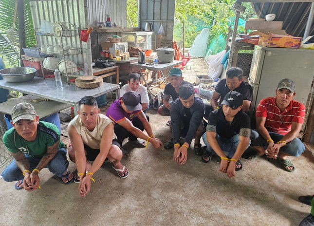 Triệt xóa tụ điểm đá gà quy mô liên tỉnh ở Đà Nẵng ảnh 2