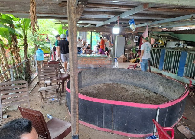 Triệt xóa tụ điểm đá gà quy mô liên tỉnh ở Đà Nẵng ảnh 1