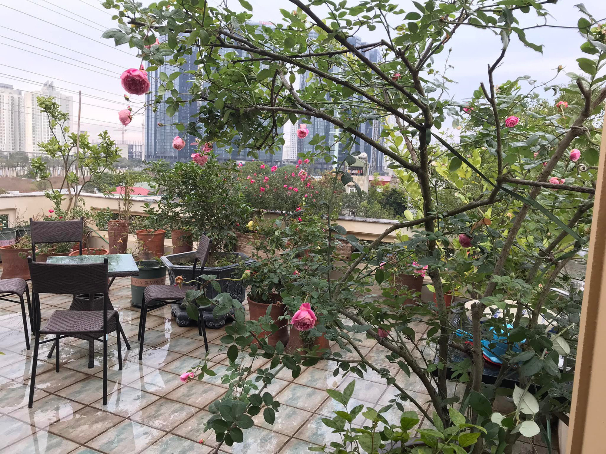 Nữ nghệ sĩ xinh đẹp, tài sắc vẹn toàn không kém cạnh bất kỳ nàng Hoa hậu nào của làng hương sắc Việt, hiện sống ra sao?- Ảnh 11.