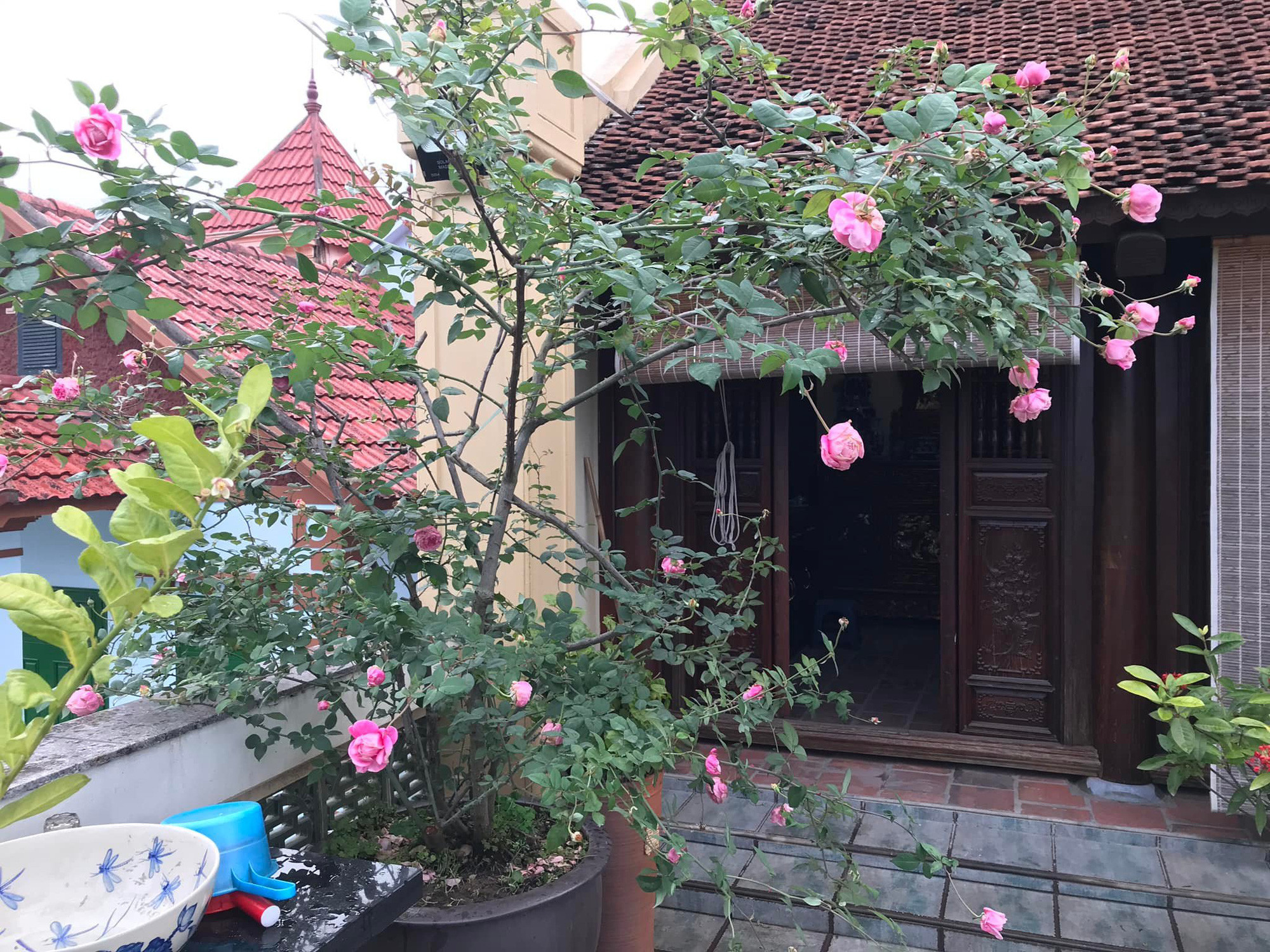 Nữ nghệ sĩ xinh đẹp, tài sắc vẹn toàn không kém cạnh bất kỳ nàng Hoa hậu nào của làng hương sắc Việt, hiện sống ra sao?- Ảnh 6.