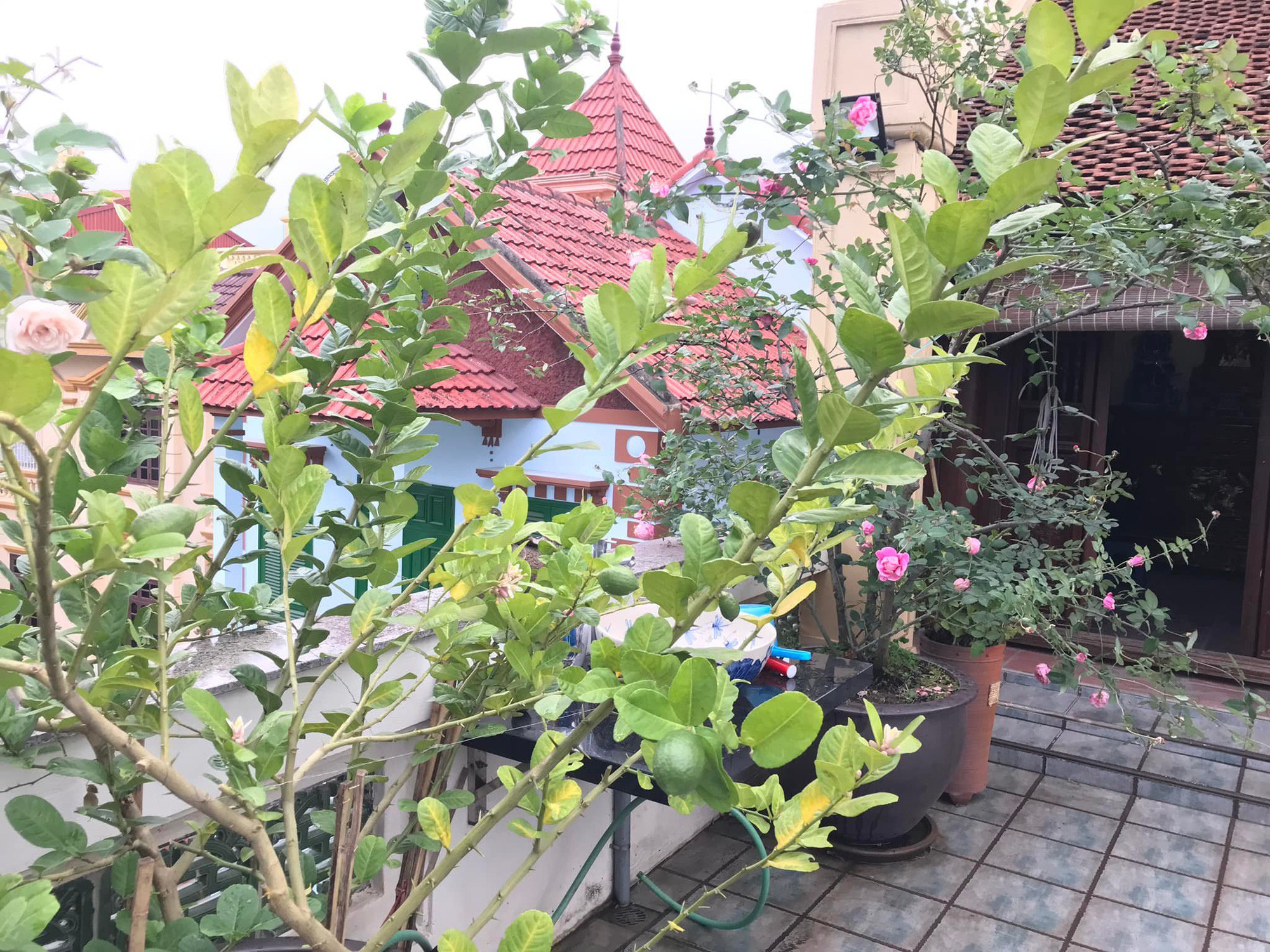 Nữ nghệ sĩ xinh đẹp, tài sắc vẹn toàn không kém cạnh bất kỳ nàng Hoa hậu nào của làng hương sắc Việt, hiện sống ra sao?- Ảnh 5.