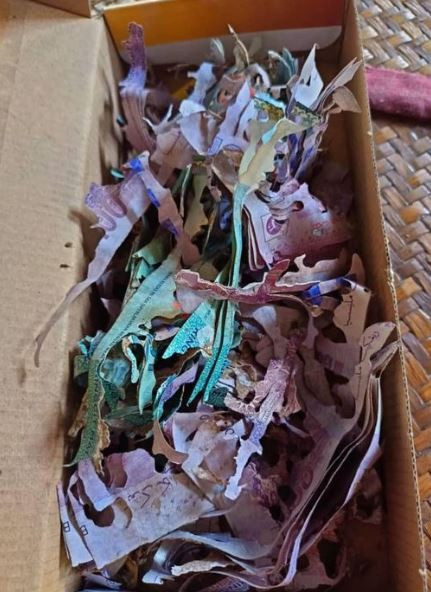 Cất tiền tiết kiệm trong hộp bánh cũ, cụ bà sốc nặng sau khi mở ra- Ảnh 1.