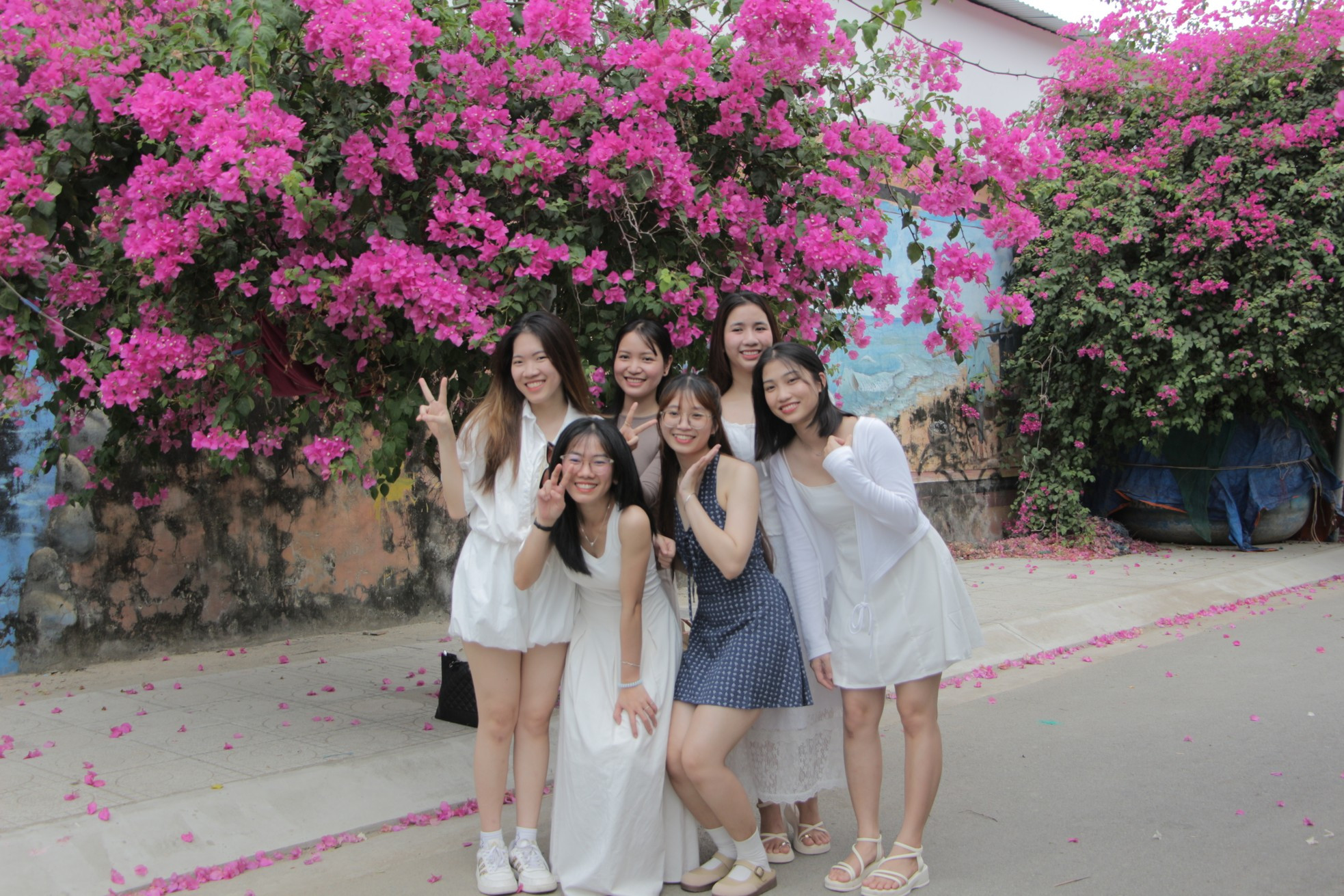 Du khách thích mê đường hoa giấy rực rỡ ở Nha Trang ảnh 7