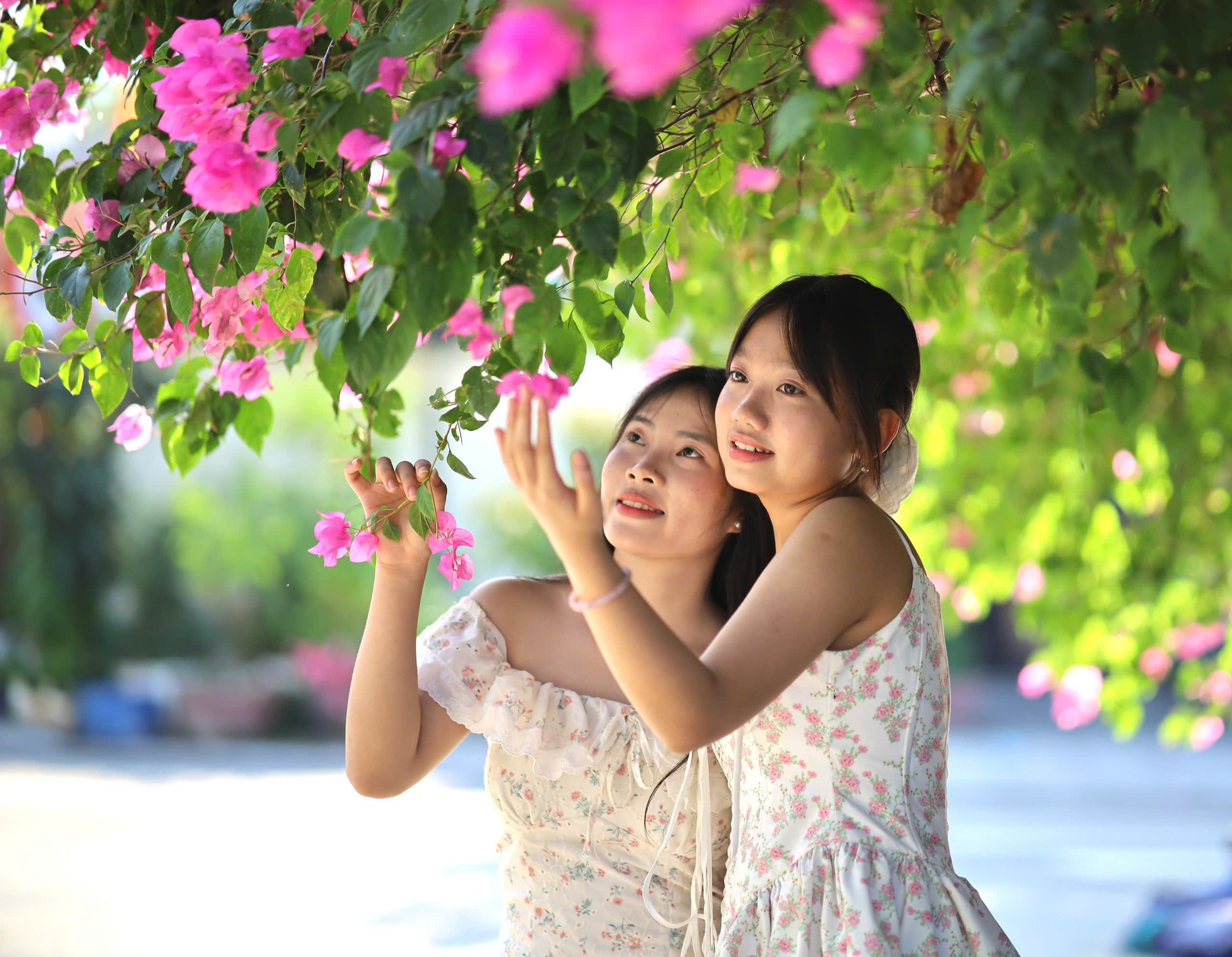 Du khách thích mê đường hoa giấy rực rỡ ở Nha Trang ảnh 8