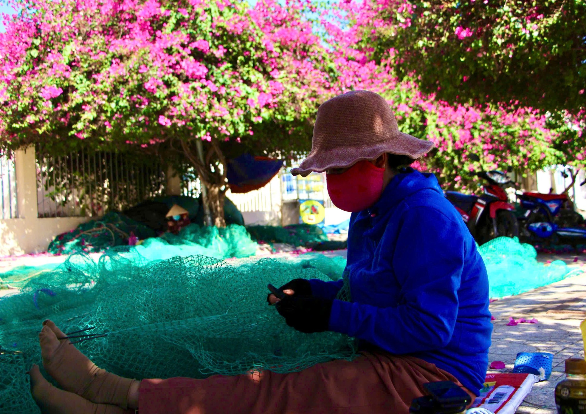 Du khách thích mê đường hoa giấy rực rỡ ở Nha Trang ảnh 9