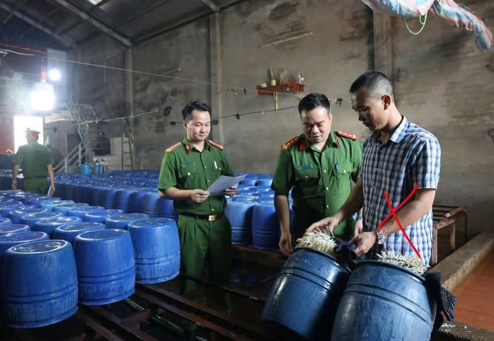 Khởi tố chủ cơ sở bán 60 tấn giá đỗ dùng chất kích thích tăng trưởng- Ảnh 1.