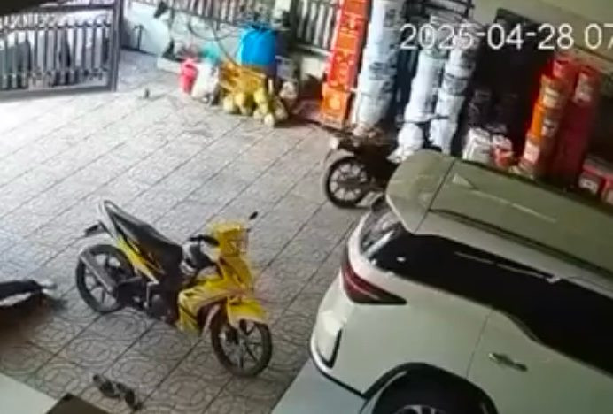 anh vu ban sung 44152.jpg