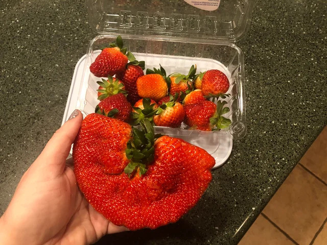 3 loại trái cây được tế bào ung thư yêu thích, người bán không bao giờ động tới nhưng lại có trên bàn ăn nhiều nhà- Ảnh 1.