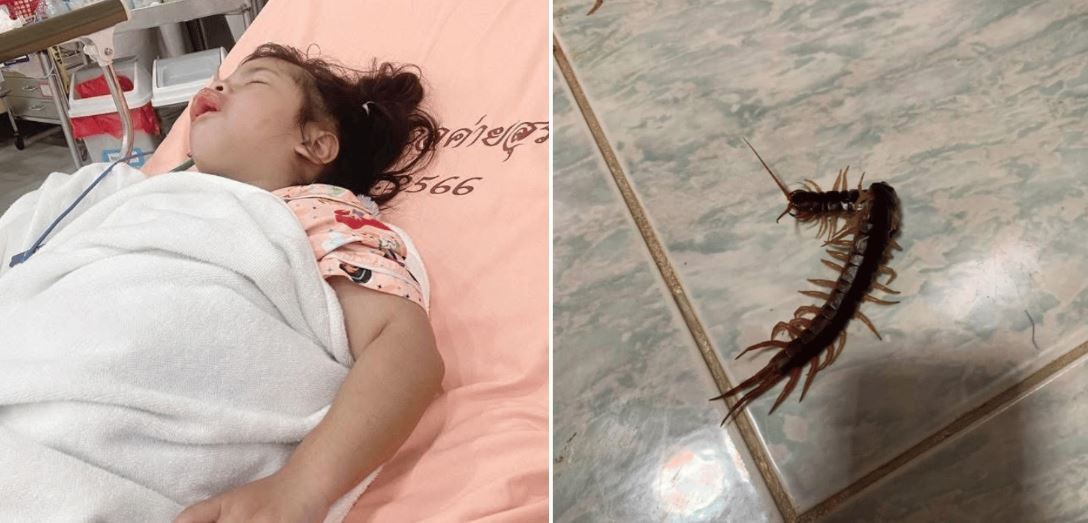 Con gái 3 tuổi đột nhiên hét lên đau đớn giữa đêm, mẹ bước vào phòng thì sốc nặng- Ảnh 2.