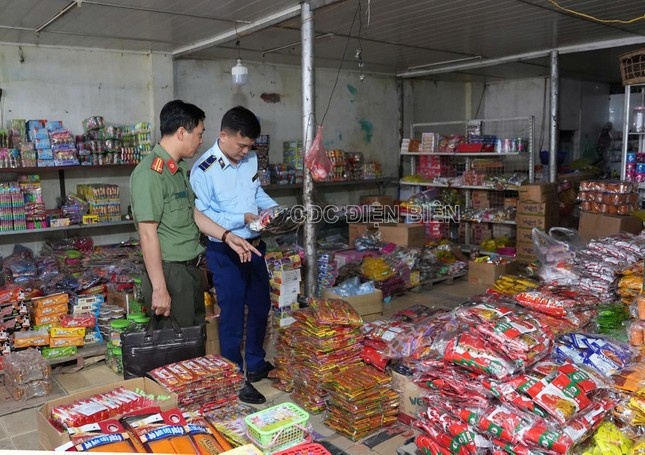 Khánh Hòa tiêu hủy 850.000 con tôm hùm giống nhập lậu, trị giá 34 tỷ đồng- Ảnh 2.