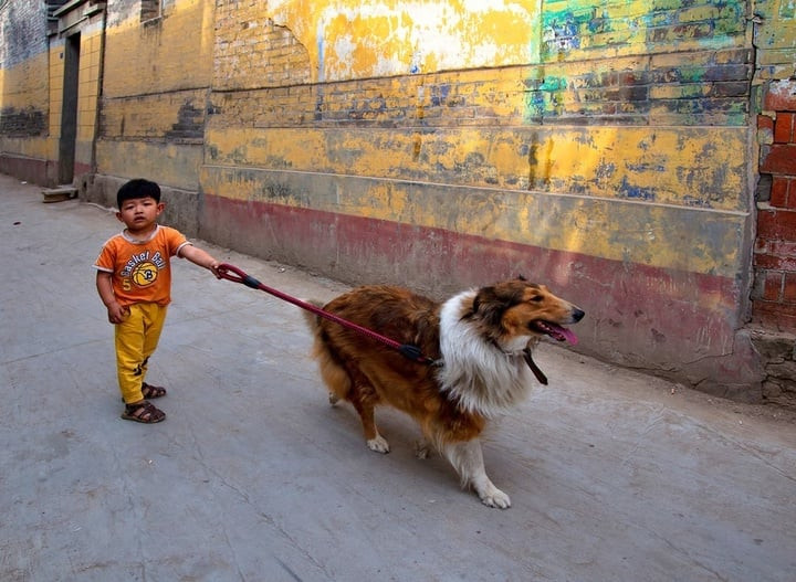 Cộng đồng mạng phản ứng dữ dội trước hành động của người phụ nữ này. (Ảnh: Shutterstock)