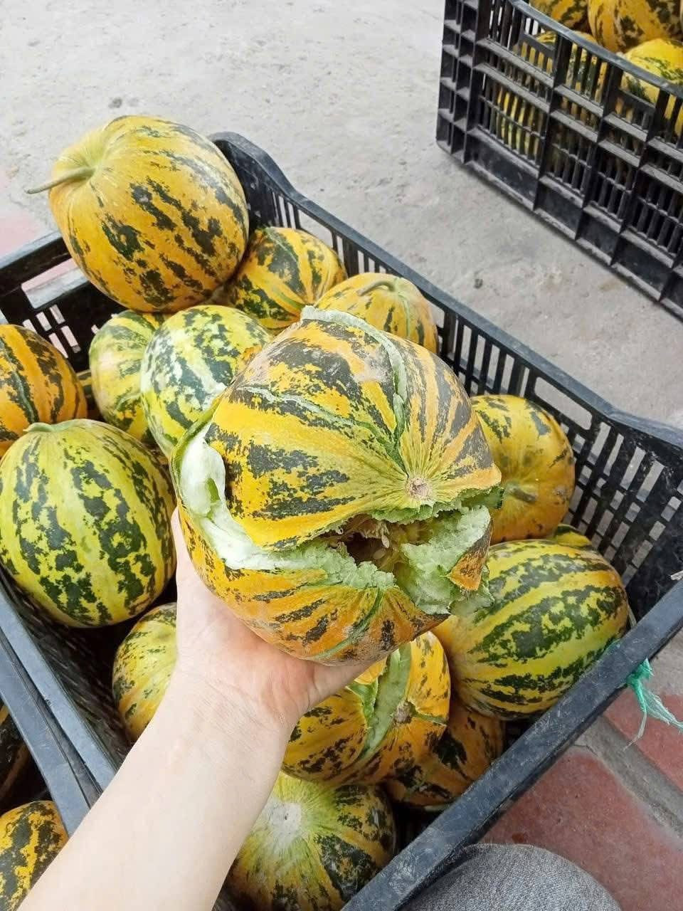 Loại quả rẻ bèo, người trồng chẳng buồn phun thuốc trừ sâu, trị mất ngủ, giải nhiệt cơ thể, hè này nên ăn nhiều- Ảnh 2.