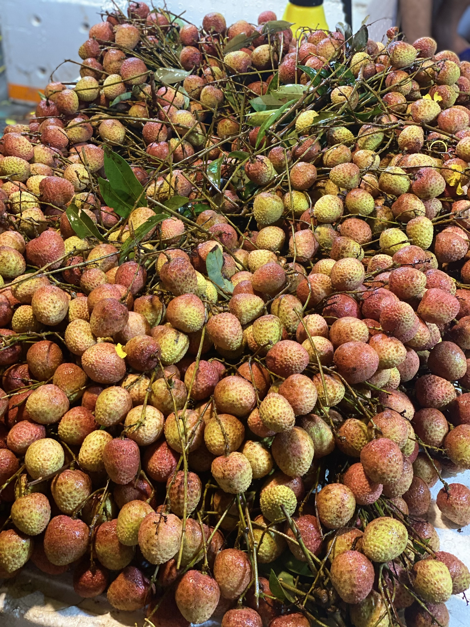 Vải u đầu mùa giá cao chót vót nhưng vẫn đắt khách tìm mua- Ảnh 1.