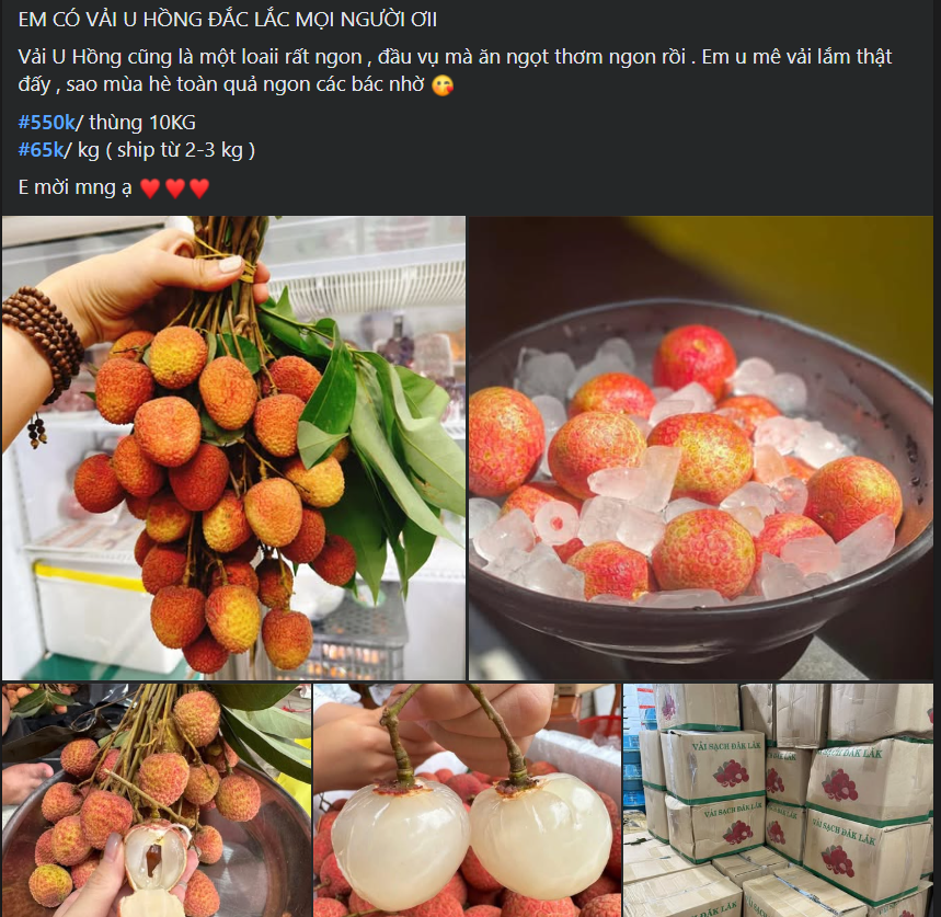 Vải u đầu mùa giá cao chót vót nhưng vẫn đắt khách tìm mua- Ảnh 7.