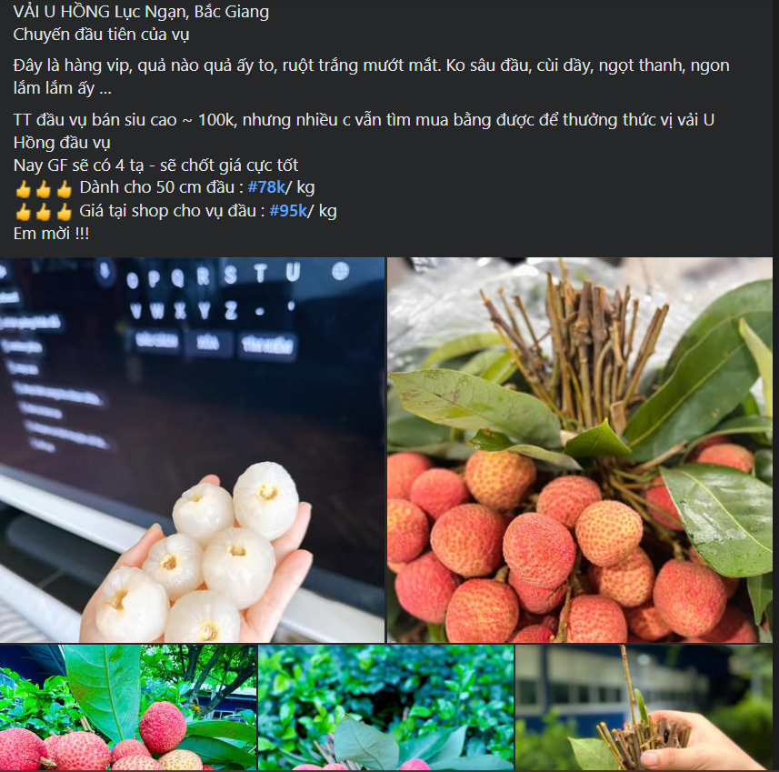 Vải u đầu mùa giá cao chót vót nhưng vẫn đắt khách tìm mua- Ảnh 4.