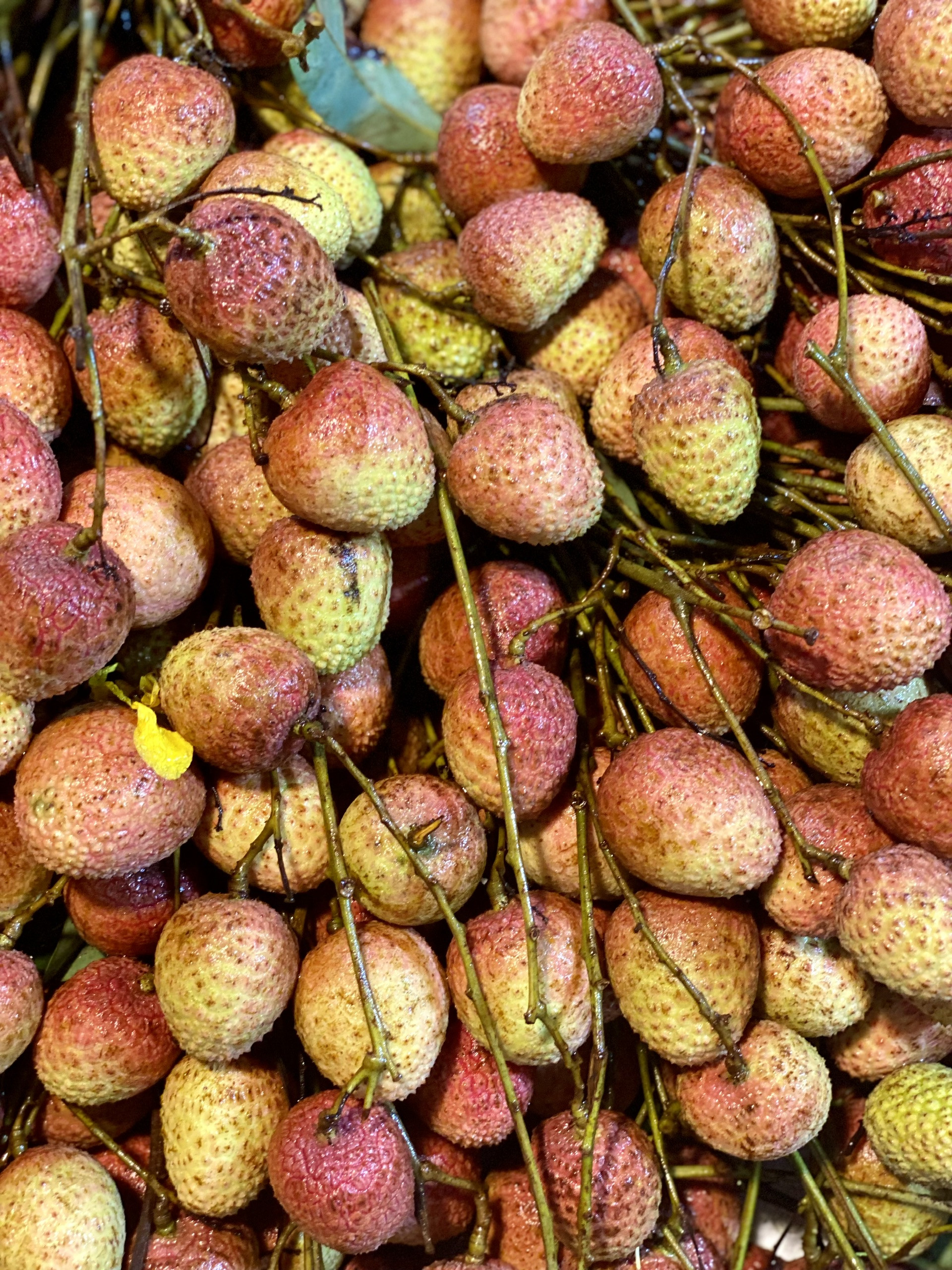 Vải u đầu mùa giá cao chót vót nhưng vẫn đắt khách tìm mua- Ảnh 5.