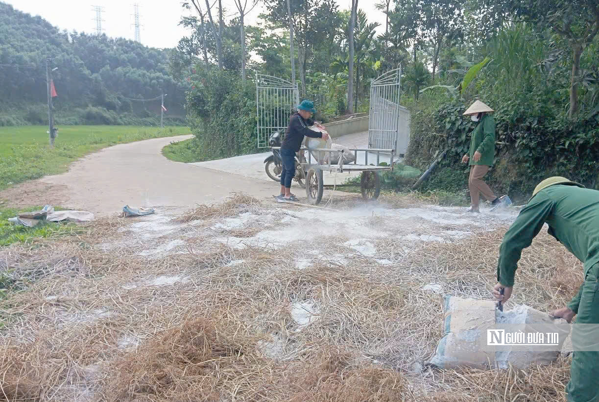 Dịch tả lợn châu Phi bùng phát ở Nghệ An, nhiều nơi diễn biến phức tạp- Ảnh 4.