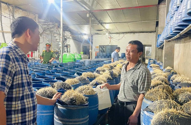 Lạnh người với quy trình sản xuất hàng giá đỗ ngậm hóa chất độc hại ảnh 1