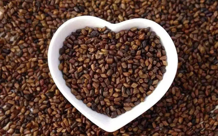 Bậc thầy giải độc không phải hoa cúc mà là loại này ăn nhiều hơn mỗi ngày có thể tăng cường chức năng gan