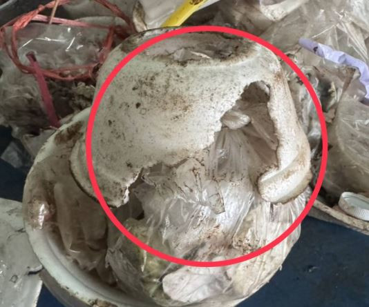 Phát hiện cụ bà 76 tuổi ăn xốp, sống một mình trong căn nhà đầy rác- Ảnh 3.