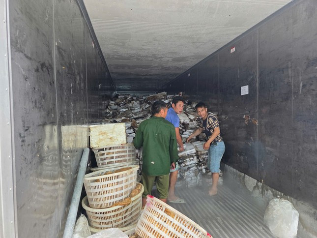 Phát hiện kho chứa 25 tấn mực ống, chân gà, sách bò bốc mùi ở Quảng Ninh ảnh 1