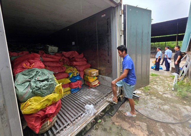 Phát hiện kho chứa 25 tấn mực ống, chân gà, sách bò bốc mùi ở Quảng Ninh ảnh 3