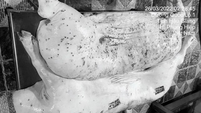 Công ty C.P vừa bị 'tố' bán thịt bẩn đang làm ăn thế nào? ảnh 1