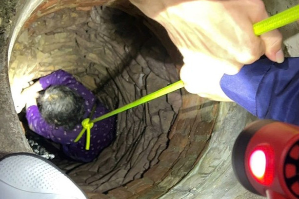 Rơi xuống giếng sâu, cụ bà 84 tuổi ở Bắc Giang được giải cứu thành công - Ảnh 1.