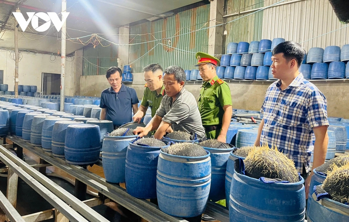 cong an tinh lao cai khoi to 3 bi can san xuat gia do bang hoa chat doc hai hinh anh 1