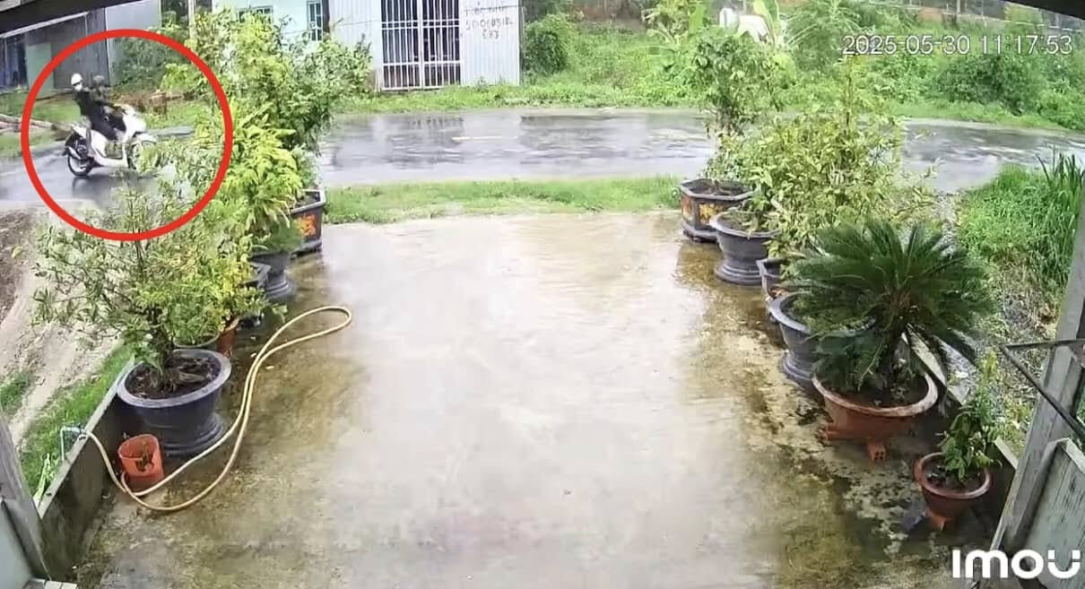 1 17486031784191050148811.jpg