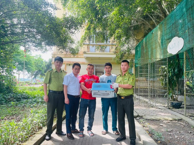 Trăn gấm dài hơn 1,5m 'đột kích' trang trại ở Hà Tĩnh nuốt chửng 10 con gà ảnh 1