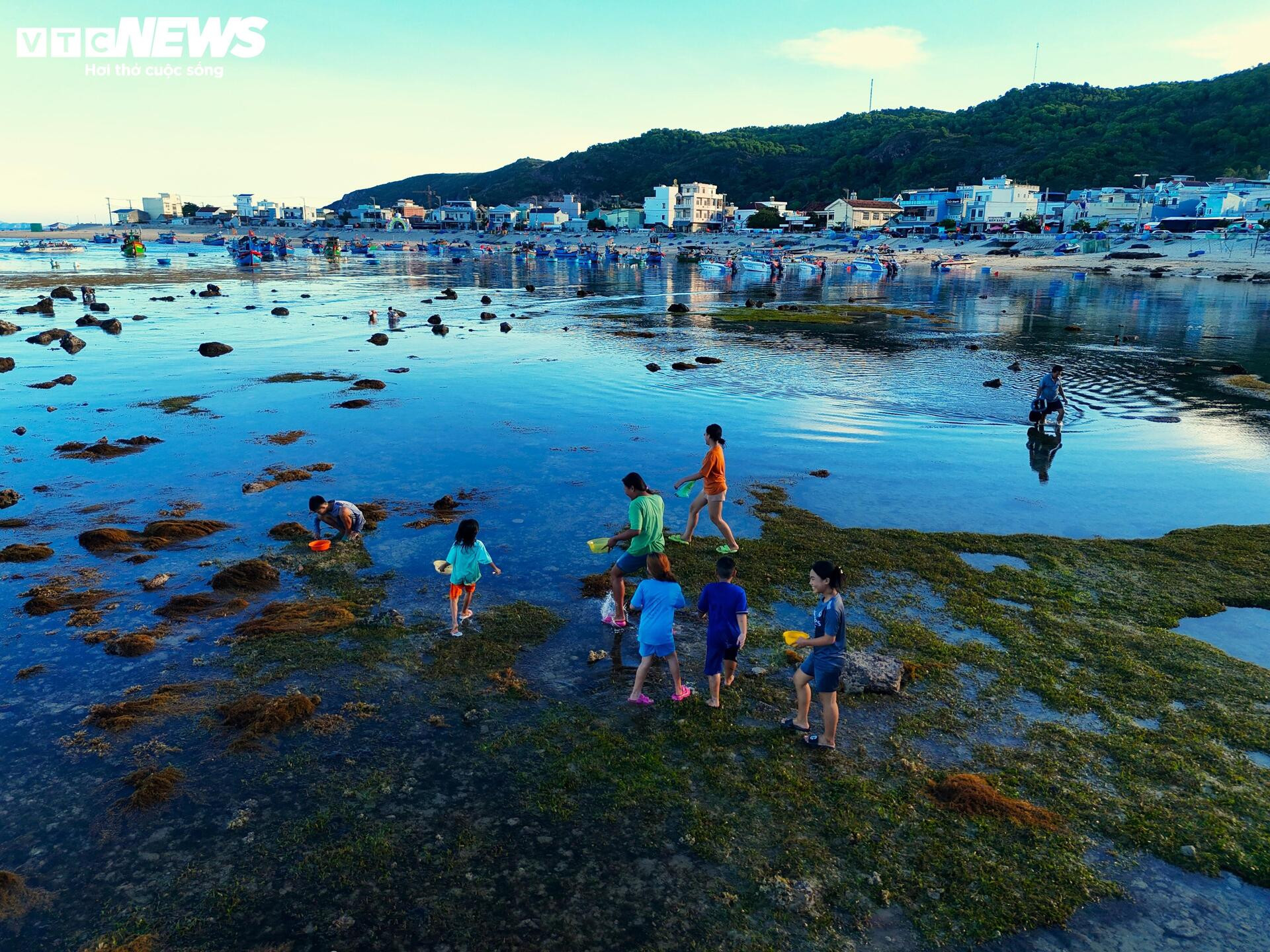 Cận cảnh con đường đi bộ xuyên biển 'thoắt ẩn thoắt hiện' tại Bình Định - 7