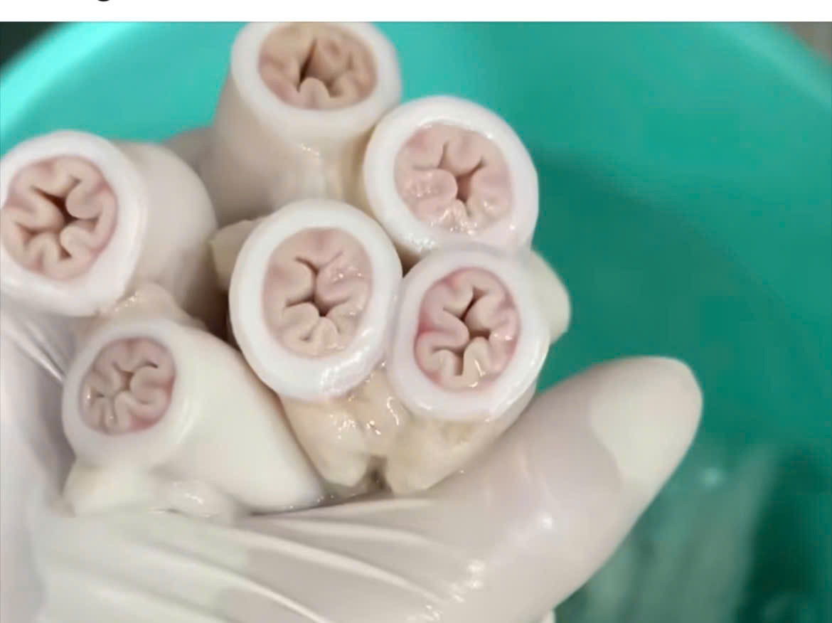 Vụ “lòng se điếu”: TP HCM đang lấy mẫu kiểm nghiệm- Ảnh 1.